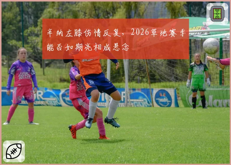 辛纳左膝伤情反复,2026草地赛季能否如期亮相成悬念