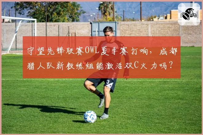 守望先锋联赛OWL夏季赛打响,成都猎人队新教练组能激活双C火力吗?