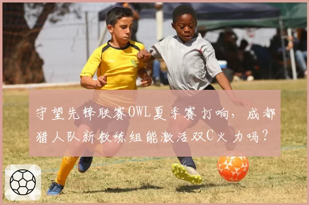 守望先锋联赛OWL夏季赛打响,成都猎人队新教练组能激活双C火力吗?