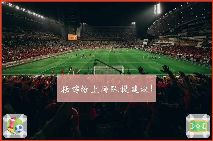 杨鸣给上海队提建议!