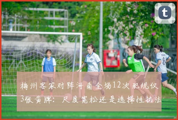 梅州客家对阵河南全场12次犯规仅3张黄牌:尺度宽松还是选择性执法?