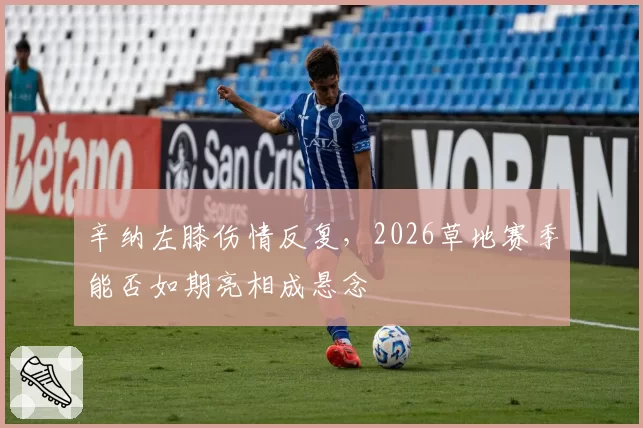辛纳左膝伤情反复,2026草地赛季能否如期亮相成悬念